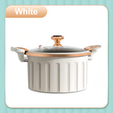 🍲 Non-Stick Micro Pressure Cooker ✨