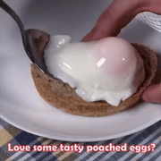 🍳 Microwave Poached Egg Cooker ✨