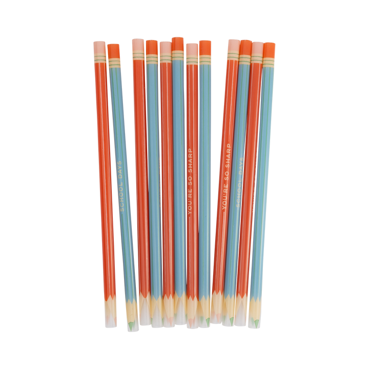 Colored Pencil Reusable Straws