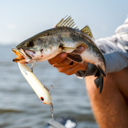 Inshore Speed Clip Bundle (25 Clips in Each Size)